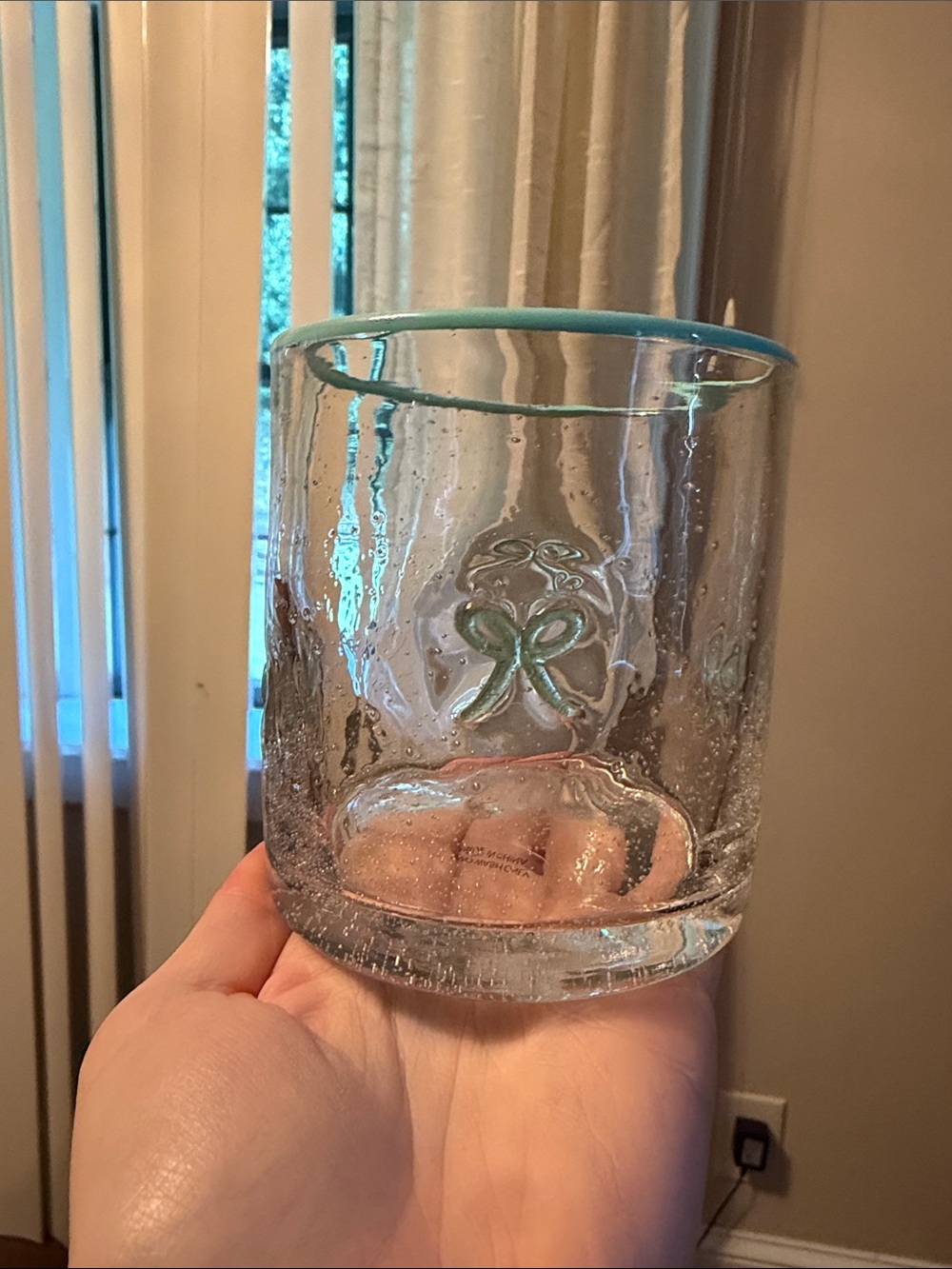 Clear Glass Tumbler with Turquoise Rim and Clover Motif icon juice glass